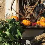 „am Gnaucks Hutberg“ Appartement