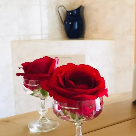 公寓 „am Gnaucks Hutberg“