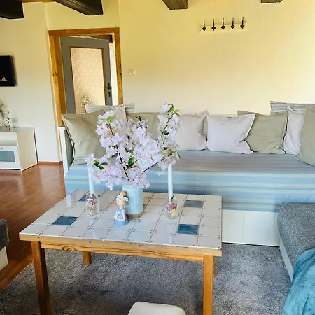 „am Gnaucks Hutberg“ 公寓 *