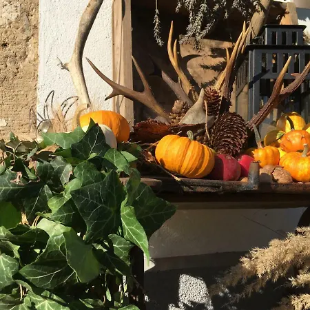 „am Gnaucks Hutberg“ Διαμέρισμα