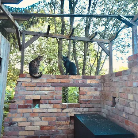 „am Gnaucks Hutberg“ 公寓