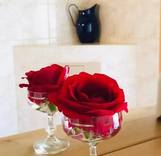 Apartamento „am Gnaucks Hutberg“