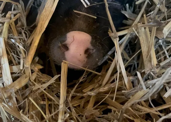 „am Gnaucks Hutberg“ *