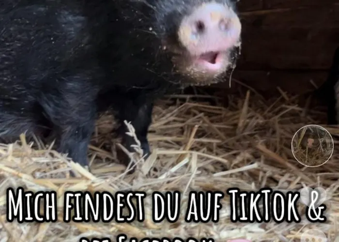 „am Gnaucks Hutberg“ Apartamento *