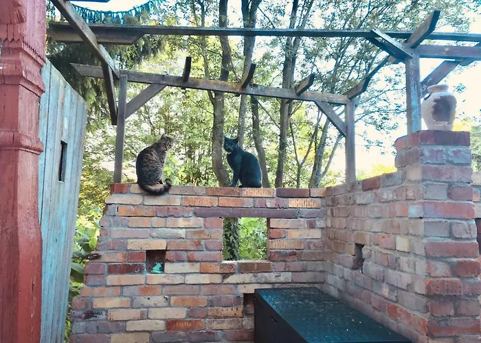 „am Gnaucks Hutberg“ Apartamento